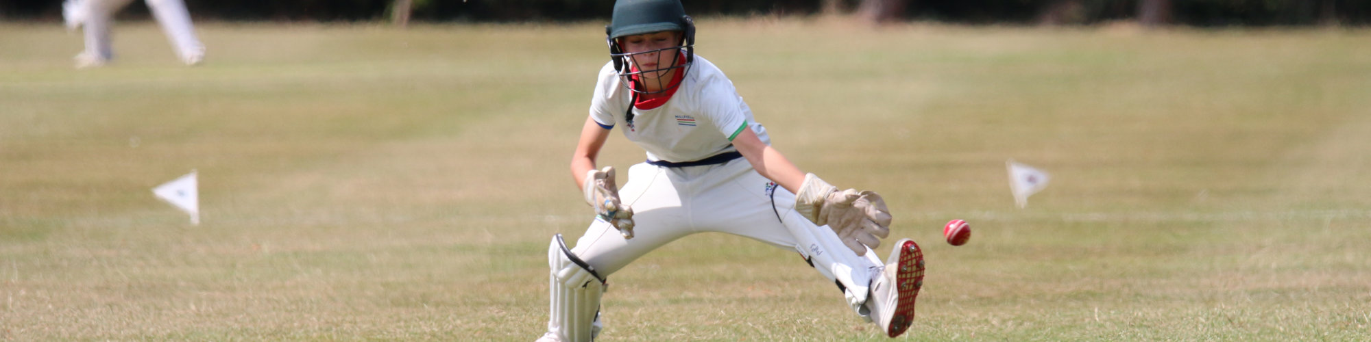 English Schools Cricket Association - Cricket vibes all day Every day